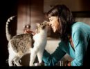 О социализации кошек (Из опыта работы зоопсихолога)
