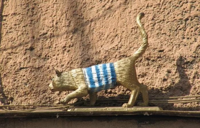 Кот тельняшке на улице Марата